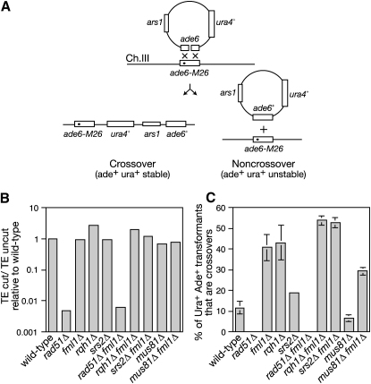 Figure 3