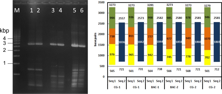 FIG 3