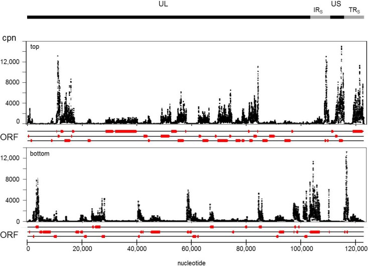 FIG 10