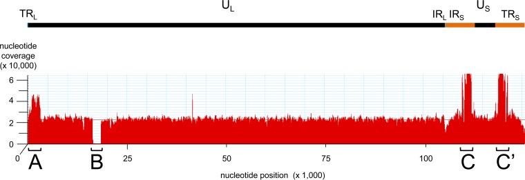 FIG 2