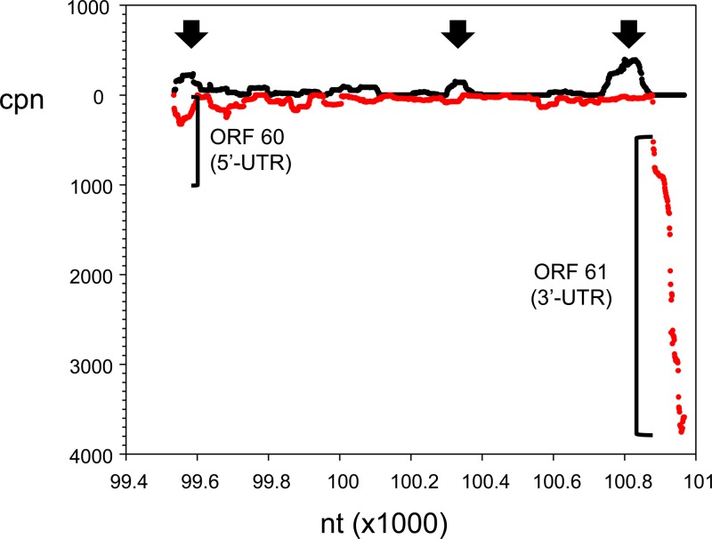 FIG 11