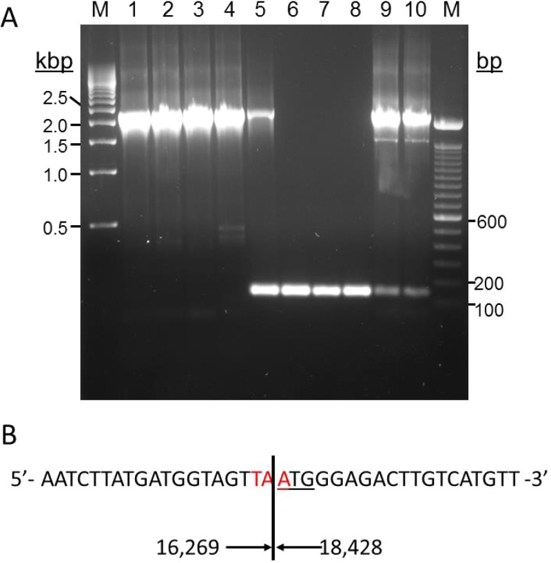 FIG 4