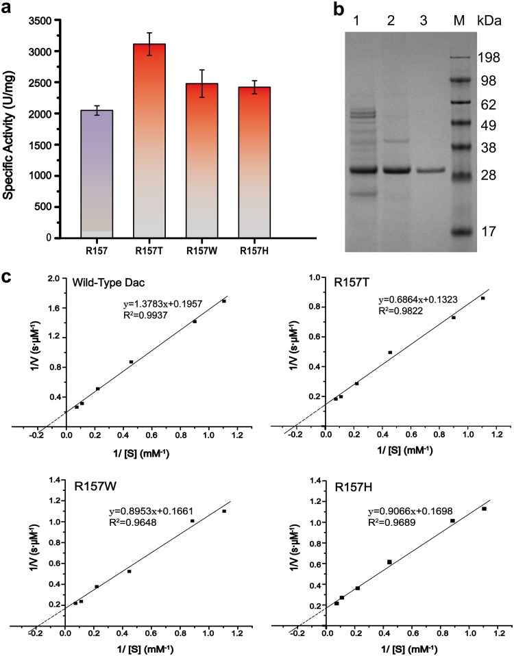 FIG 6