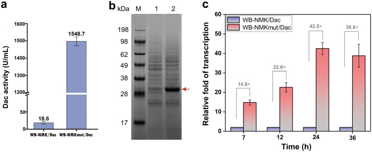 FIG 4