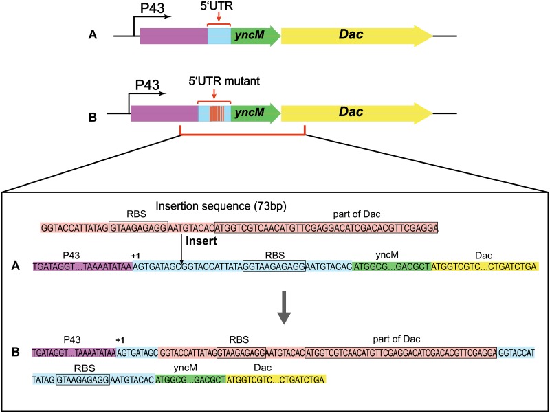 FIG 3