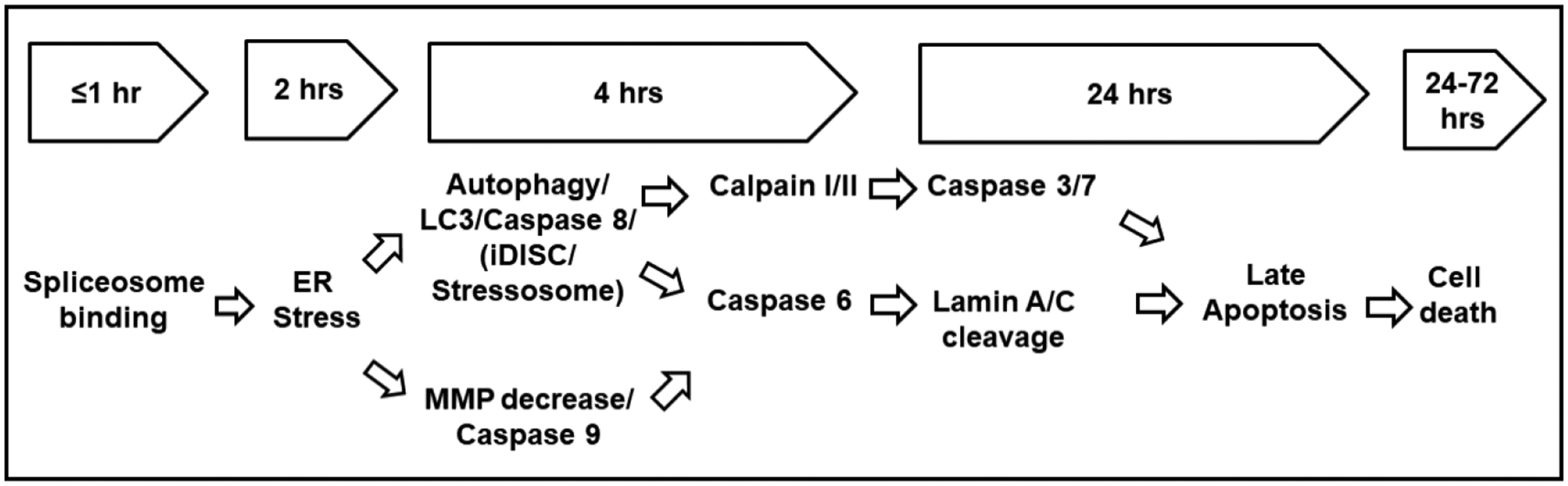 Fig. 16.