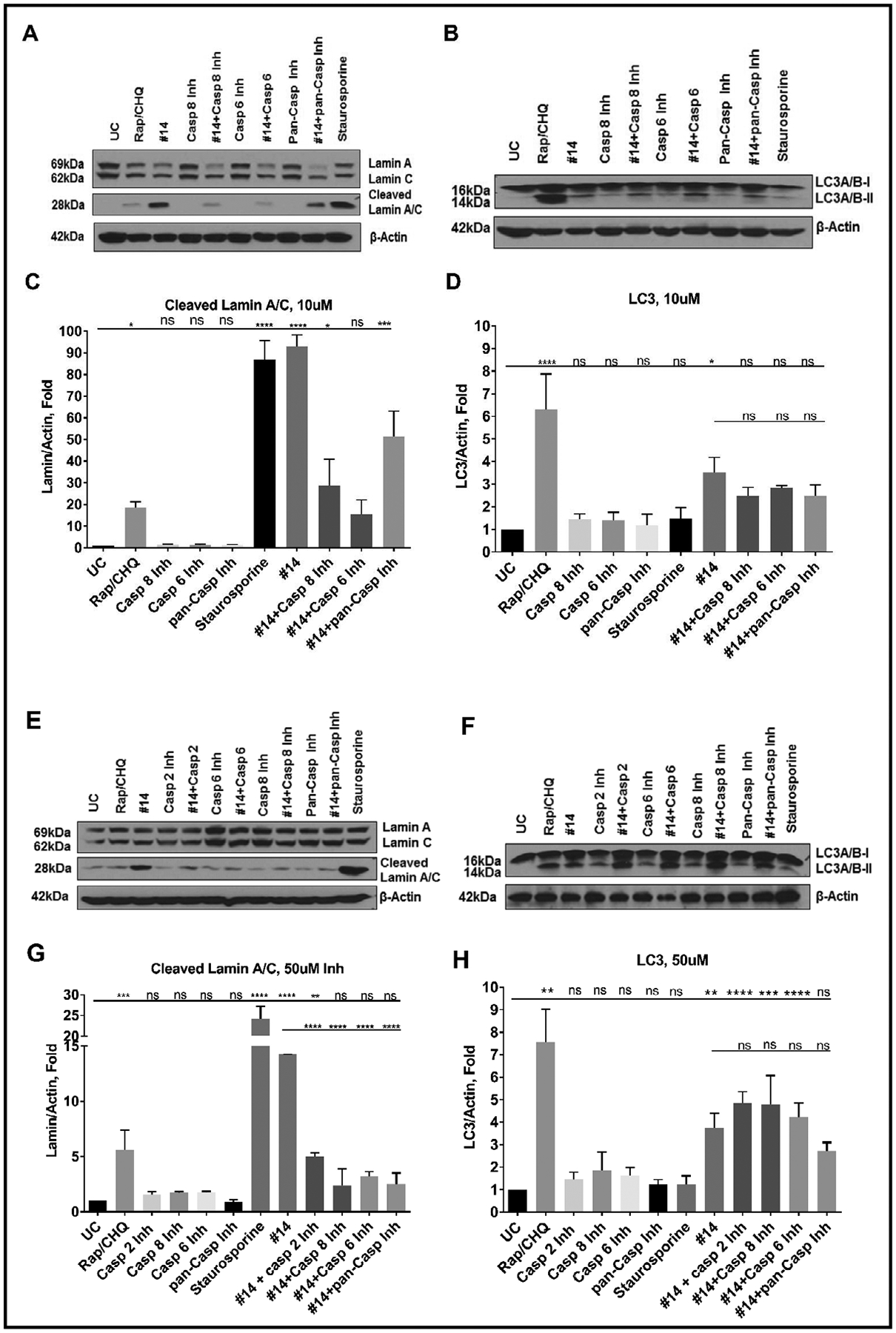 Fig. 13.