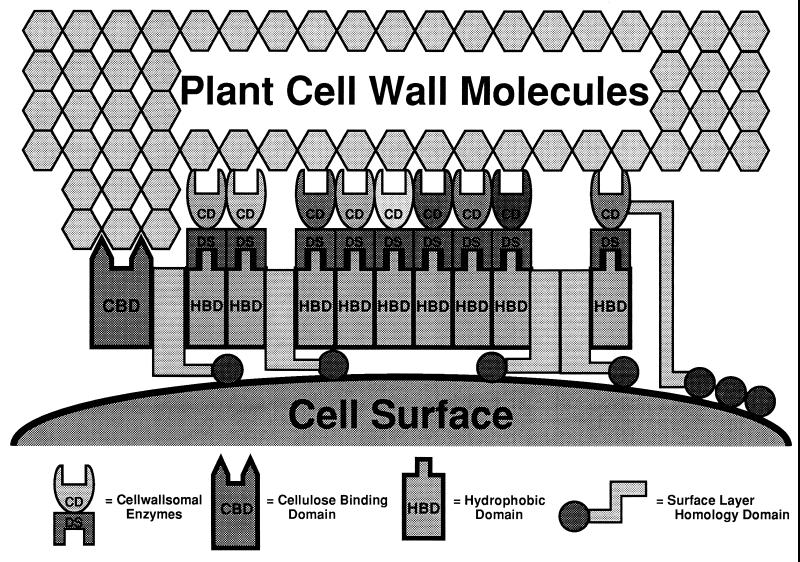 FIG. 6