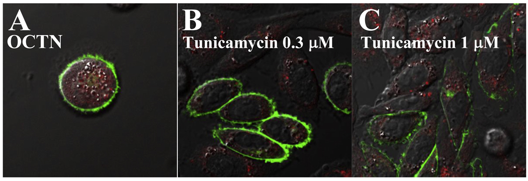 Fig. 9