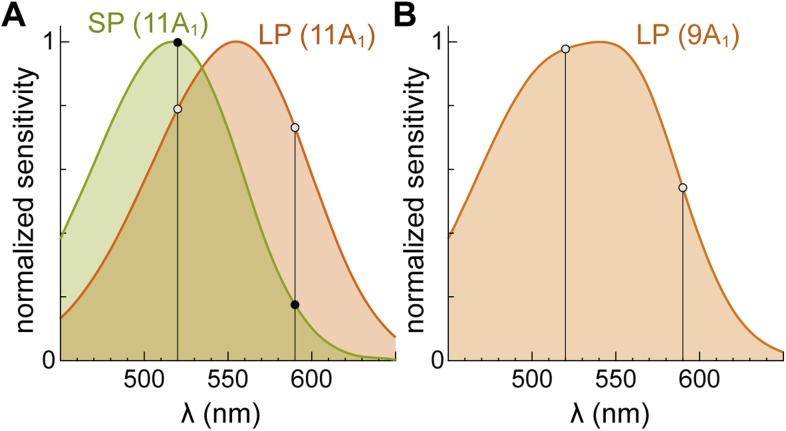 Figure 1—figure supplement 1.