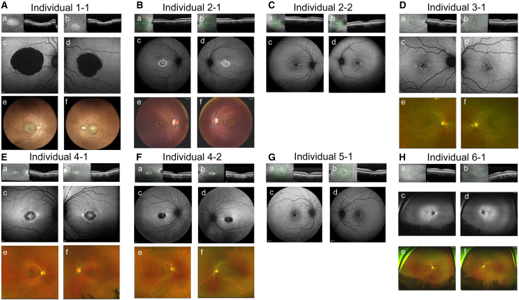 Figure 4