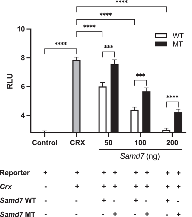 Figure 3