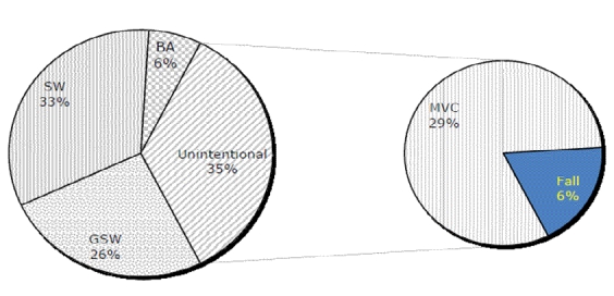 Figure 1: Trauma deaths, by Mechanism, PGH(04-07), all ages