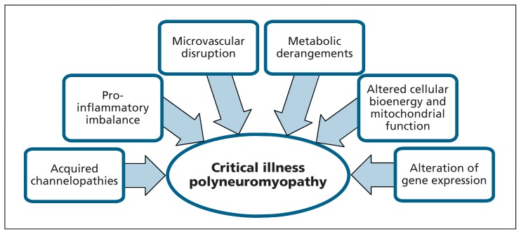 Figure 1: