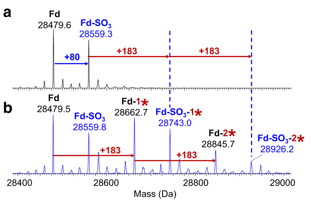 Fig. 4