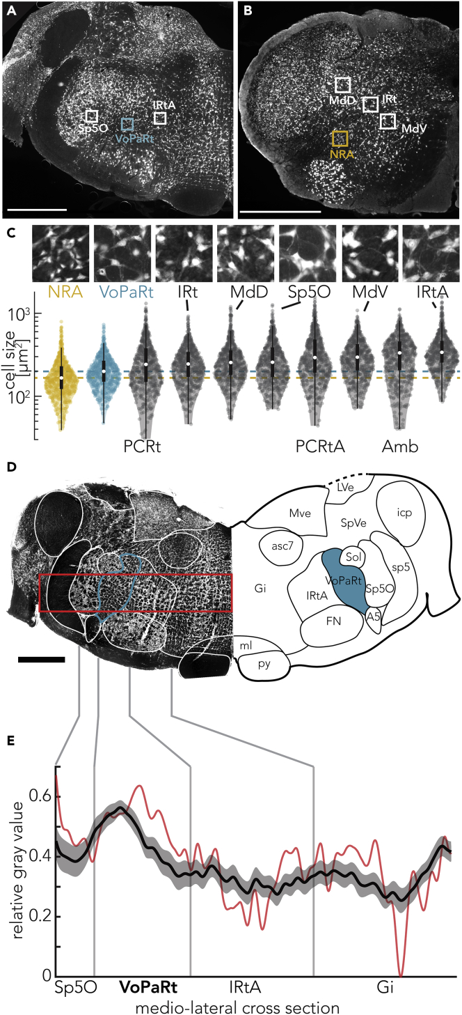 Figure 4