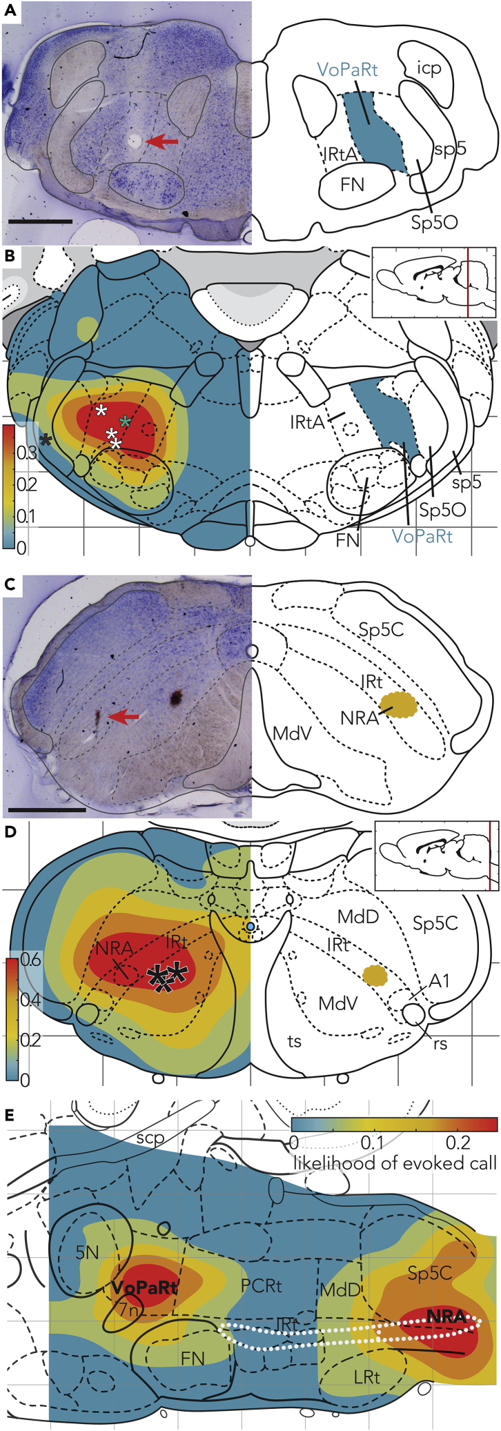 Figure 3