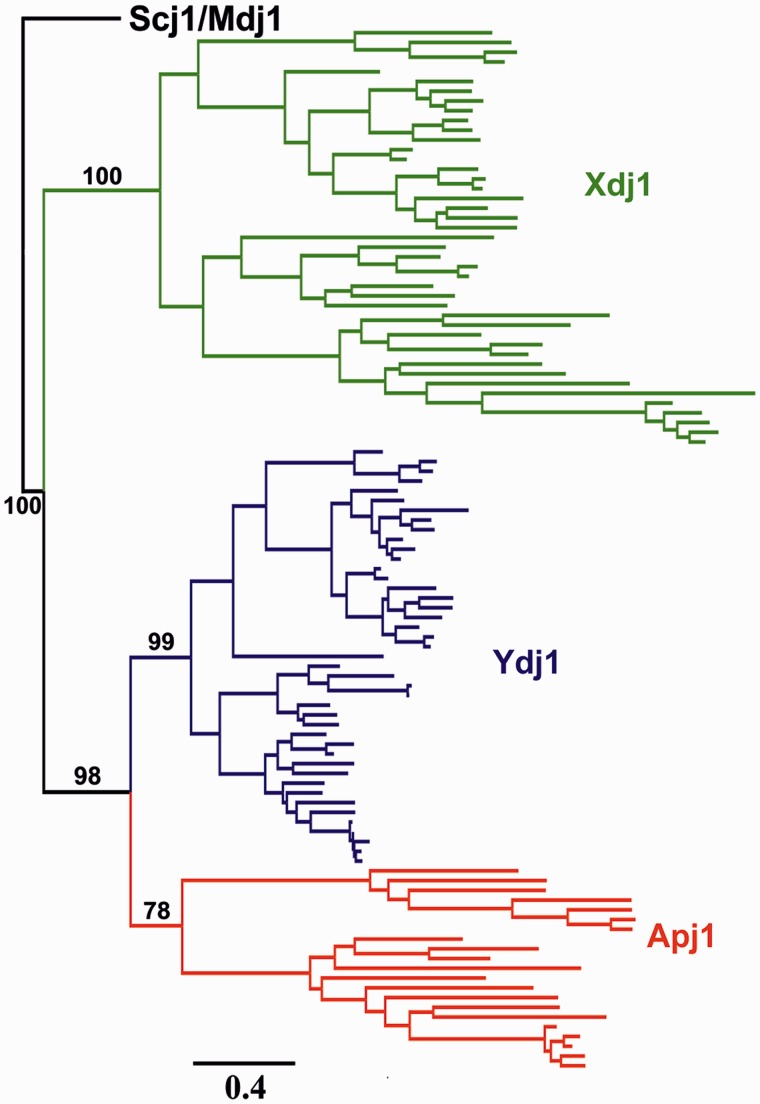 Fig. 6.