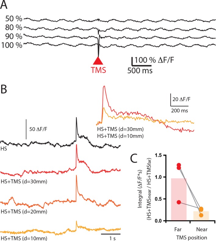 Figure 1—figure supplement 3.