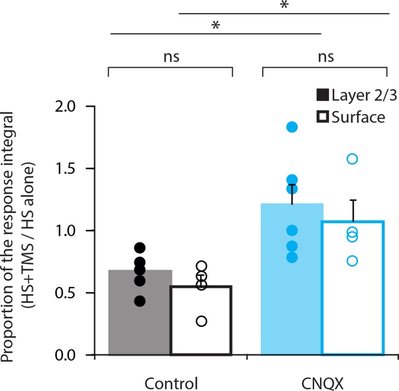 Figure 4—figure supplement 1.