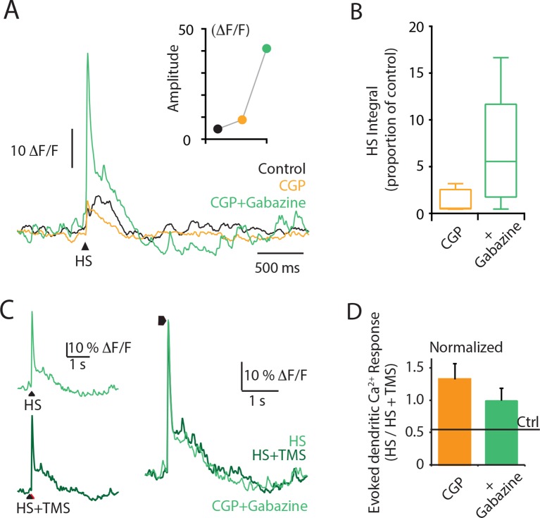 Figure 2—figure supplement 2.