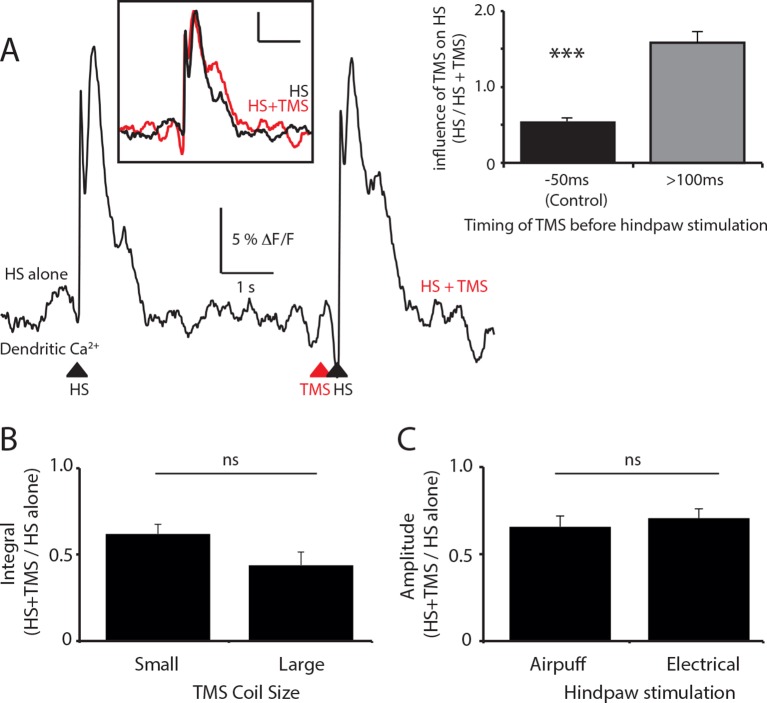 Figure 1—figure supplement 2.