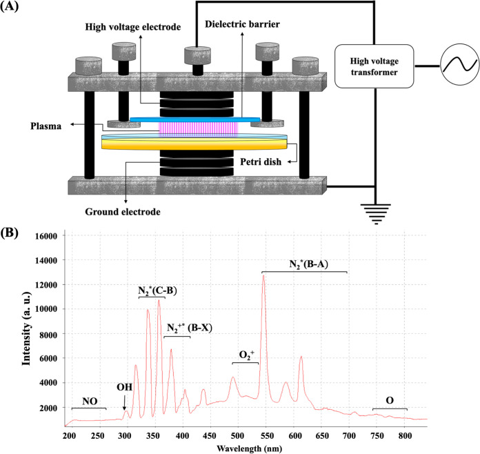 FIG 1