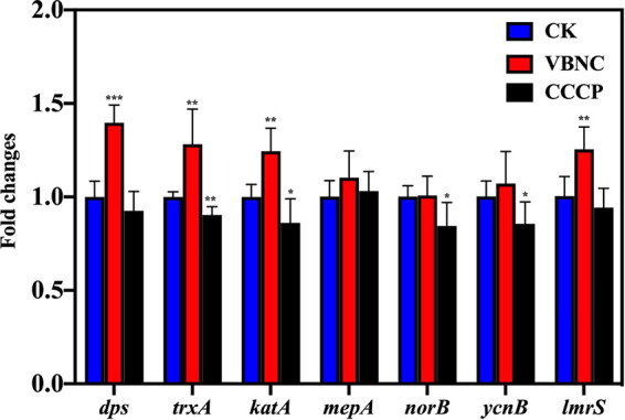 FIG 5