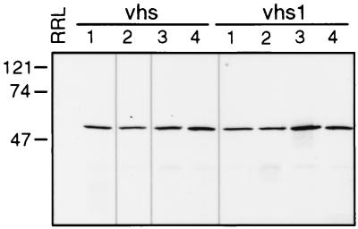 FIG. 1