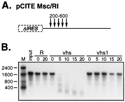 FIG. 5