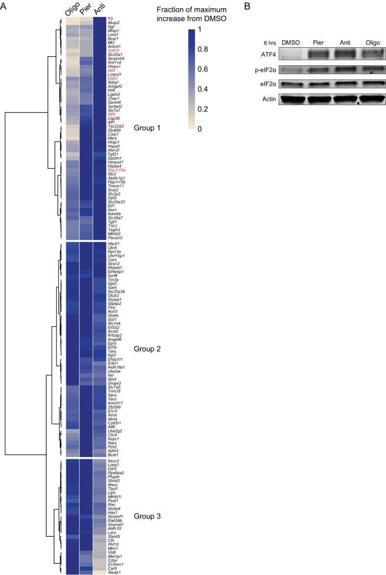 Figure 2—figure supplement 1.