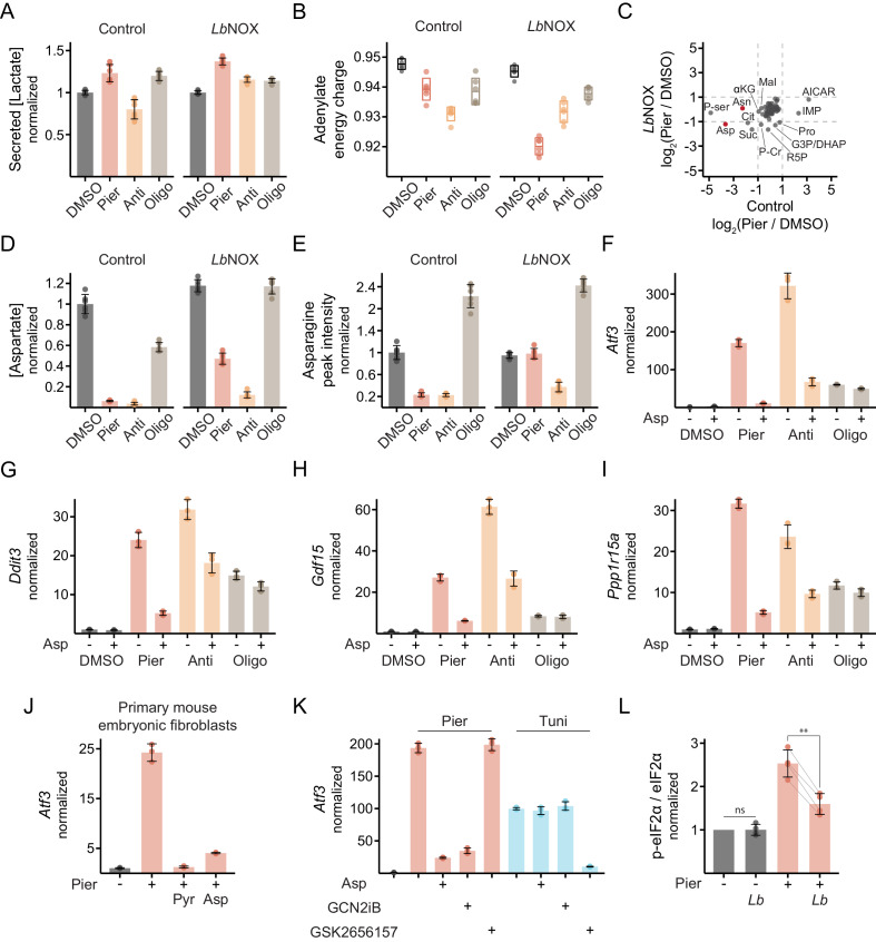 Figure 4—figure supplement 1.