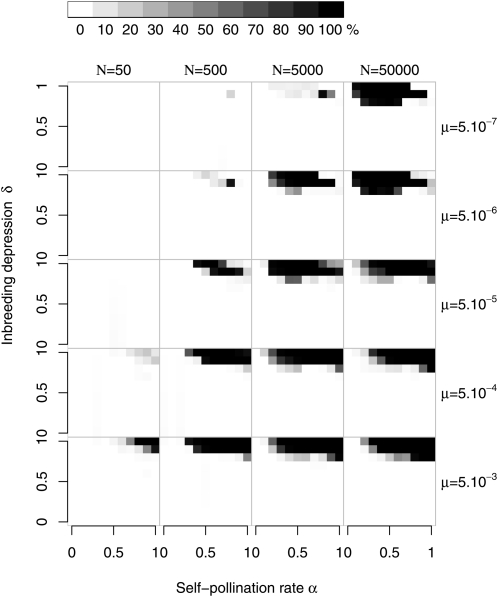 Figure 3.—