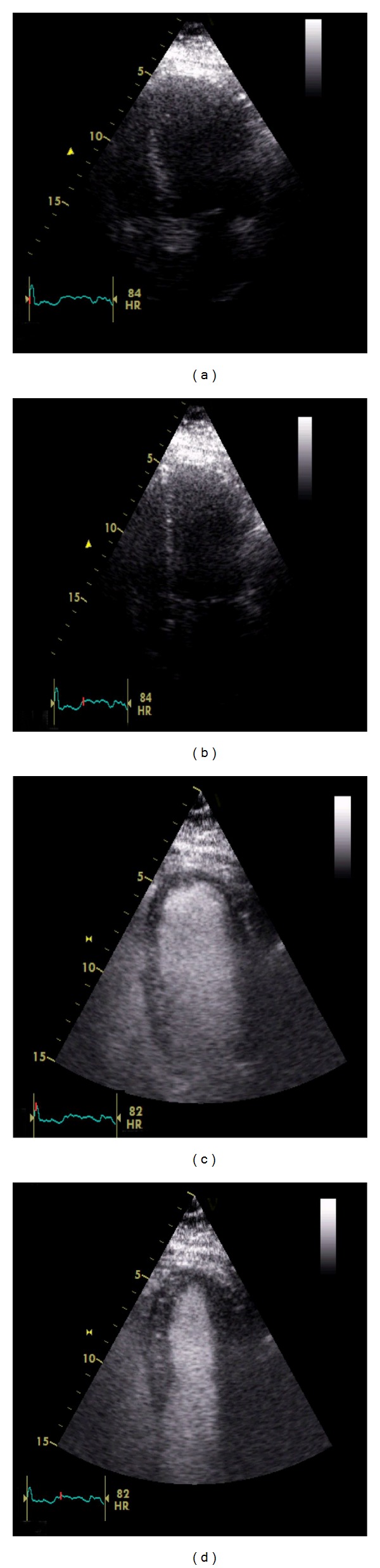 Figure 5