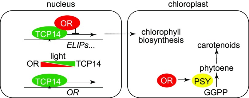 Figure 10.