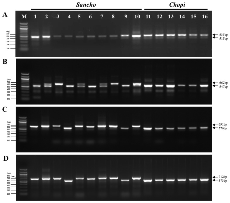 Figure 4