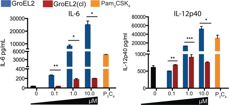 FIG 2