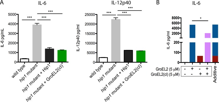 FIG 3