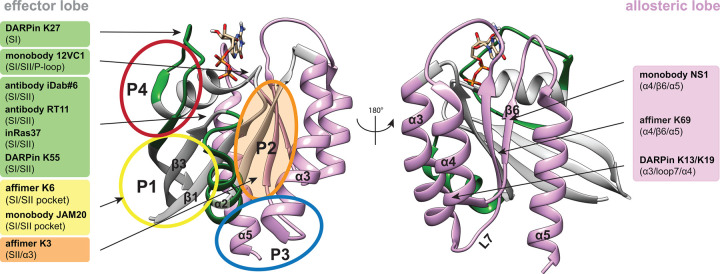 Figure 2.