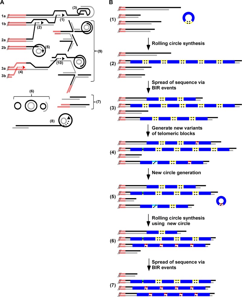 Fig 7