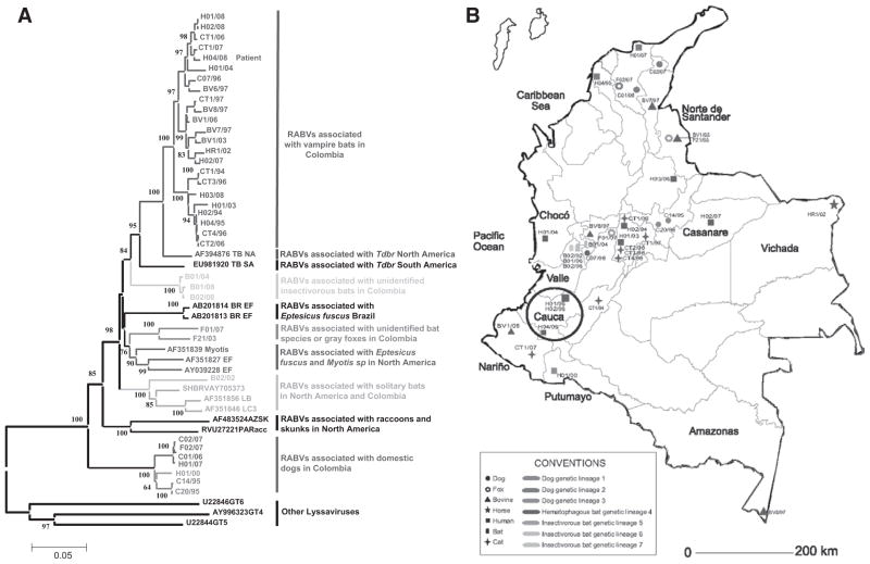 FIGURE 2