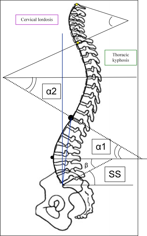 Fig. 9