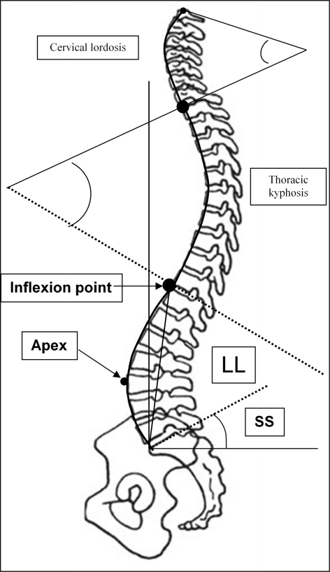 Fig. 1