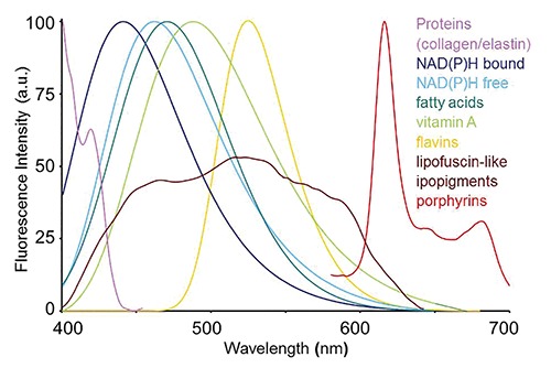 Figure 2.