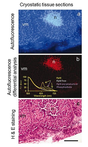 Figure 7.