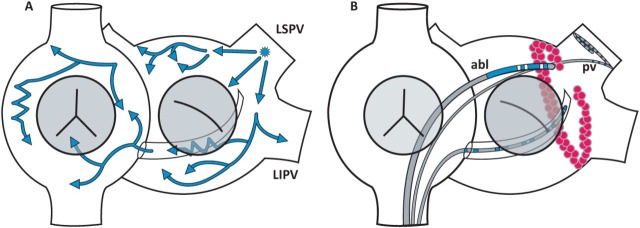 Fig 1.