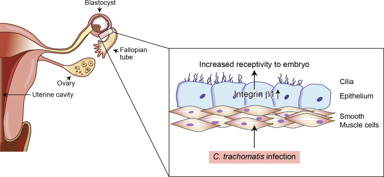 Unlabelled Image