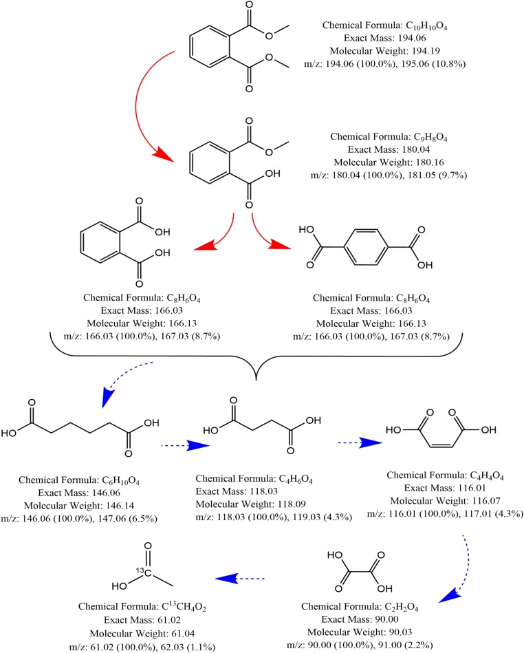 Fig 7