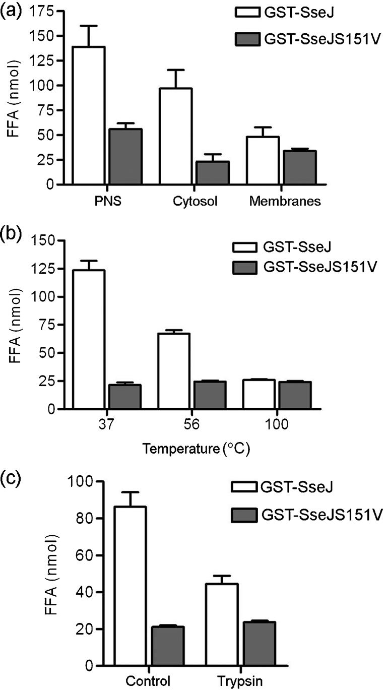 Fig. 6.