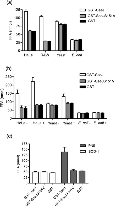 Fig. 5.